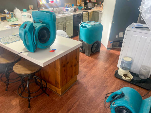 Best Carpet water damage restoration  in South Fallsburg, NY