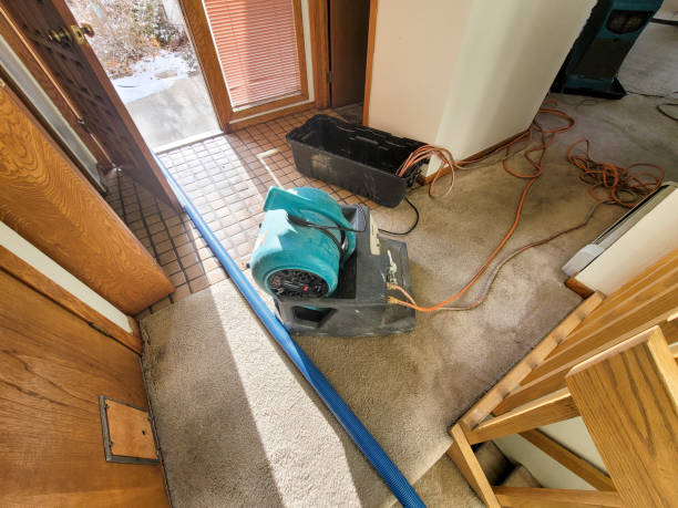 Reliable South Fallsburg, NY Water damage restoration Solutions