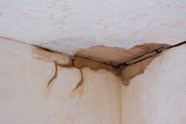 Best Flood damage cleanup  in South Fallsburg, NY