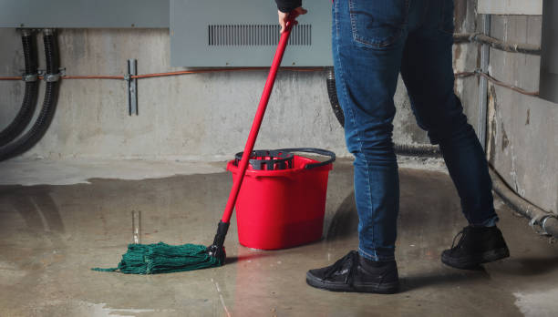Best Mold removal after water damage  in South Fallsburg, NY