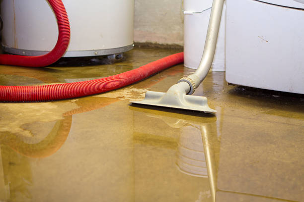 Best Commercial water damage restoration  in South Fallsburg, NY
