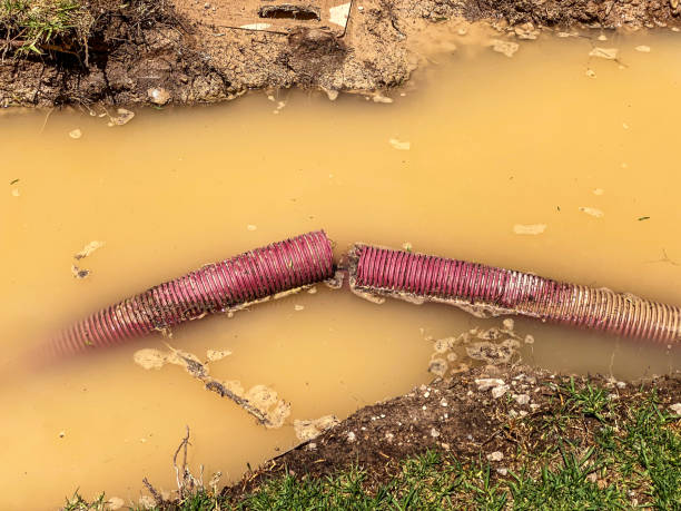 Best Professional water damage repair  in South Fallsburg, NY
