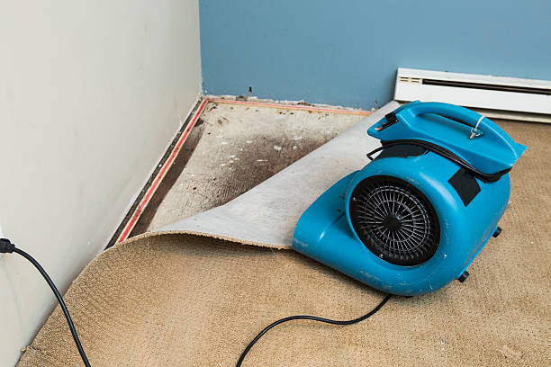 Best Water damage restoration near me  in South Fallsburg, NY